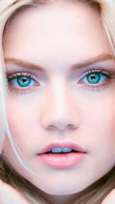 Curious about escort work but undecided commit error Can help curious about escort work but undecided all